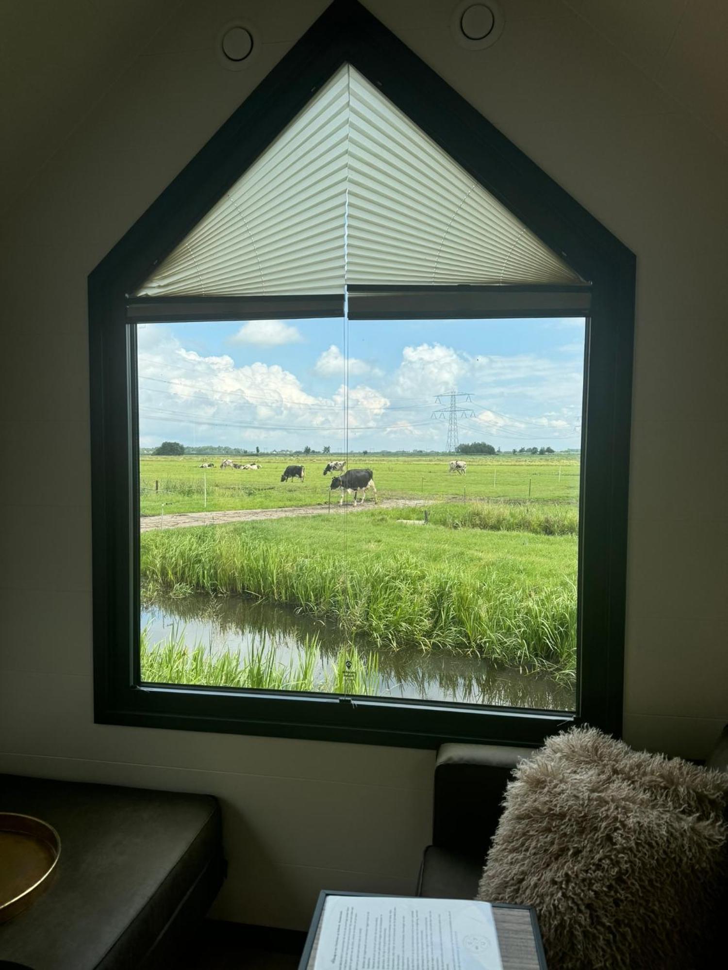 Tinyhouse Noorderlicht * Haastrecht
